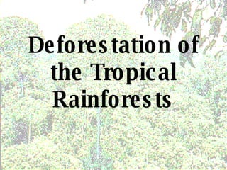 Deforestation of the Tropical Rainforests 
