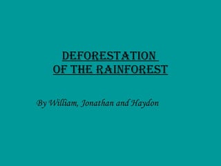Deforestation  Of The Rainforest By William, Jonathan and Haydon   