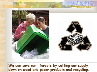 We can save our  forests by cutting our supply down on wood and paper products and recycling.  