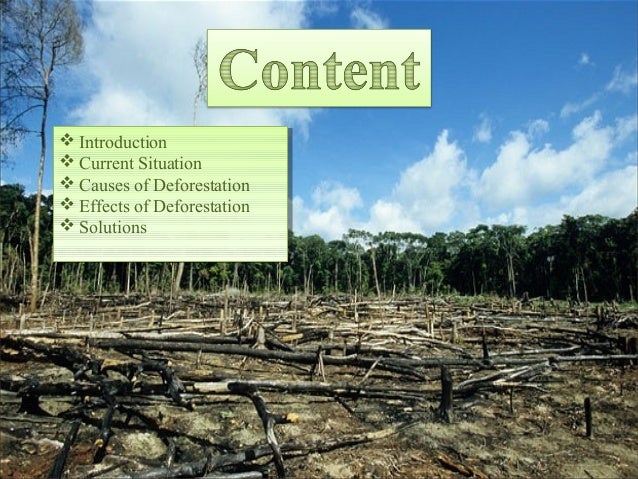 deforestation causes consequences and solutions The causes of deforestation vary from region to region, but have one big thing in common: humans it's up to us to find the solutions to deforestation. deforestation causes consequences and solutions The causes of deforestation vary from region to region, but have one big thing in common: humans it's up to us to find the solutions to deforestation.