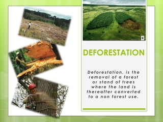 DEFORESTATION

Deforestation, is the
 removal of a forest
   or stand of trees
  where the land is
thereafter converted
 to a non forest use.
 