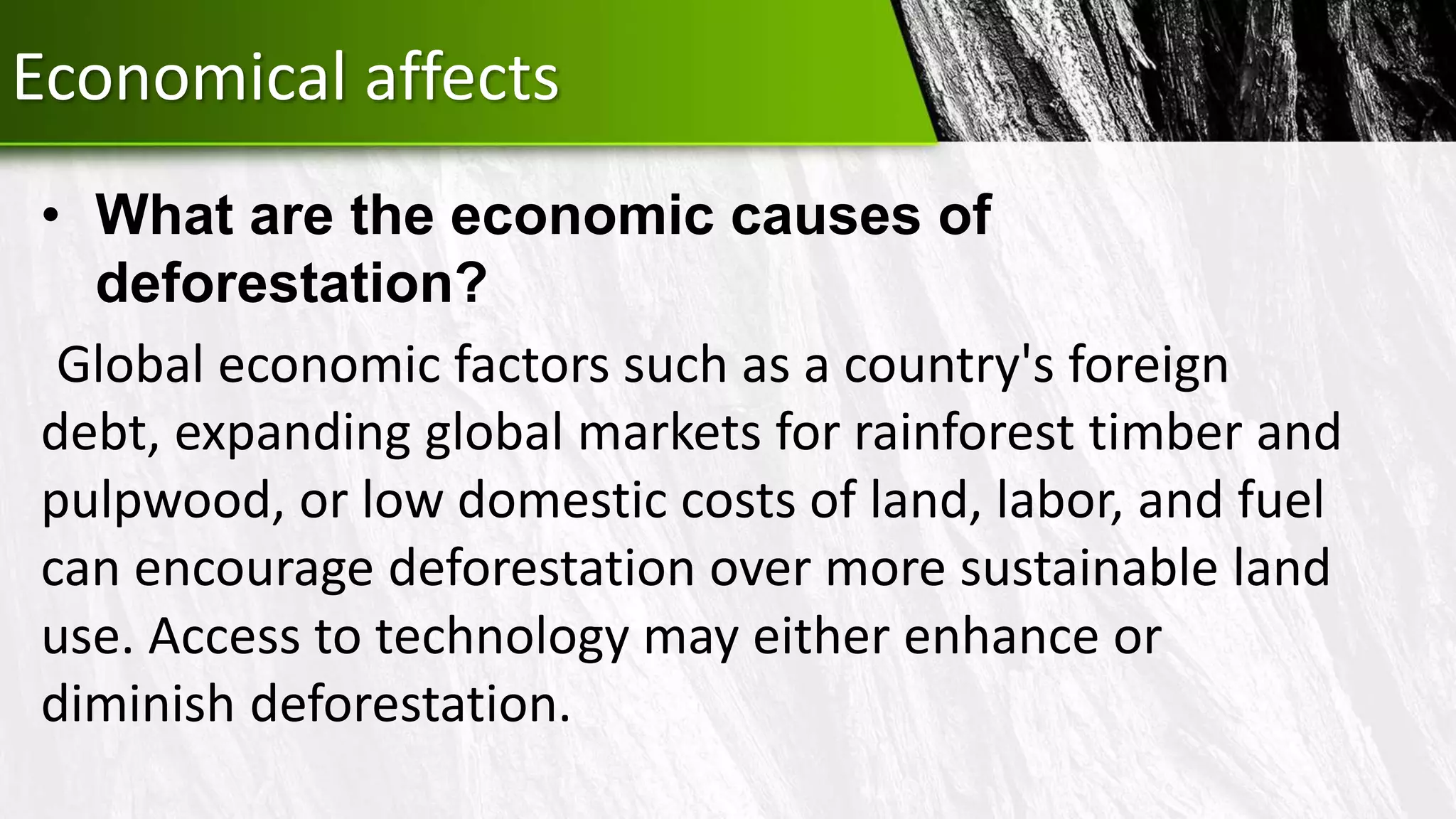 Deforestation and Climate change.pptx