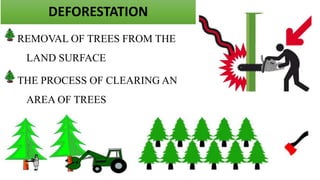 DEFORESTATION AND ITS IMPACT ON GLOBAL HYDROLOGICAL CYCLE | PPTX