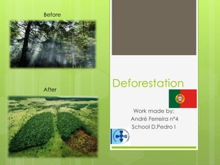 Deforestation
Work made by:
André Ferreira nº4
School D.Pedro I
After
Before
 