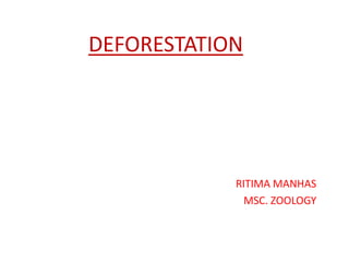 DEFORESTATION
RITIMA MANHAS
MSC. ZOOLOGY
 
