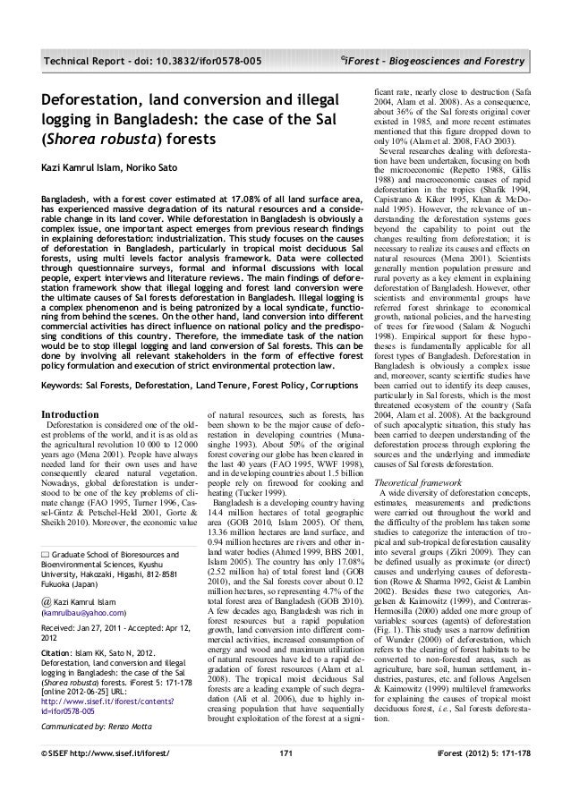 Deforestation essay pdf image