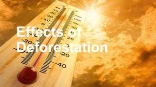 Effects of
Deforestation
 