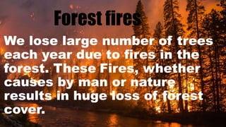 Forest fires
We lose large number of trees
each year due to fires in the
forest. These Fires, whether
causes by man or nature
results in huge loss of forest
cover.
 