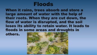 Floods
When it rains, trees absorb and store a
large amount of water with the help of
their roots. When they are cut down, the
flow of water is disrupted, and the soil
loses its ability to retain water. It leads to
floods in some areas and droughts in
others.
 