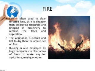 FIRE
• Fire is often used to clear
forested land, as it is cheaper
than employing labourers and
bringing in machinery to
remove the trees and
vegetation.
• The Vegetation is cleared and
left to dry then the area is set
on fire.
• Burning is also employed by
large companies to clear areas
of forest to make way for
agriculture, mining or other.
 