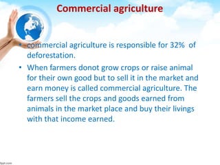 Commercial agriculture
• commercial agriculture is responsible for 32% of
deforestation.
• When farmers donot grow crops or raise animal
for their own good but to sell it in the market and
earn money is called commercial agriculture. The
farmers sell the crops and goods earned from
animals in the market place and buy their livings
with that income earned.
 