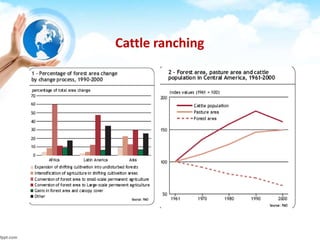 Cattle ranching
 