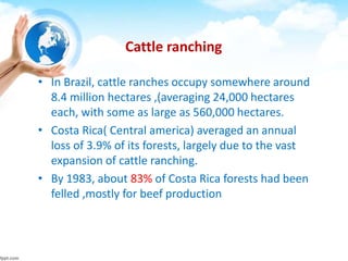 Cattle ranching
• In Brazil, cattle ranches occupy somewhere around
8.4 million hectares ,(averaging 24,000 hectares
each, with some as large as 560,000 hectares.
• Costa Rica( Central america) averaged an annual
loss of 3.9% of its forests, largely due to the vast
expansion of cattle ranching.
• By 1983, about 83% of Costa Rica forests had been
felled ,mostly for beef production
 