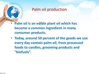 Palm oil production
• Palm oil is an edible plant oil which has
become a common ingredient in many
consumer products.
• Today, around 50 percent of the goods we use
every day contain palm oil, from processed
foods to candles, grooming products and
“biofuels”.
 
