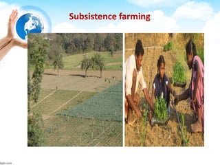 Subsistence farming
 