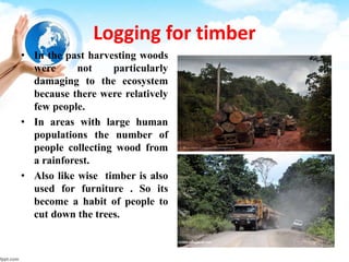 Logging for timber
• In the past harvesting woods
were not particularly
damaging to the ecosystem
because there were relatively
few people.
• In areas with large human
populations the number of
people collecting wood from
a rainforest.
• Also like wise timber is also
used for furniture . So its
become a habit of people to
cut down the trees.
 
