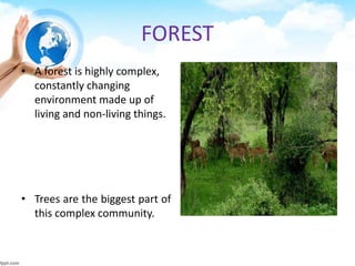 FOREST
• A forest is highly complex,
constantly changing
environment made up of
living and non-living things.
• Trees are the biggest part of
this complex community.
 