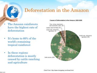 Deforestation in the Amazon
• The Amazon rainforests
have the highest rate of
deforestation
• It’s home to 60% of the
world’s remaining
tropical rainforest
• In these regions
deforestation is mostly
caused by cattle ranching
and agriculture
Chart From: http://www.mongabay.com/brazil.html
 