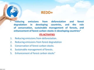 REDD+
• “reducing emissions from deforestation and forest
degradation in developing countries, and the role
of conservation, sustainable management of forests, and
enhancement of forest carbon stocks in developing countries“
ITS ACTIVITIES
1. Reducing emissions from deforestation.
2. Reducing emissions from forest degradation
3. Conservation of forest carbon stocks.
4. Sustainable management of forests.
5. Enhancement of forest carbon stocks"
 