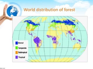 World distribution of forest
 