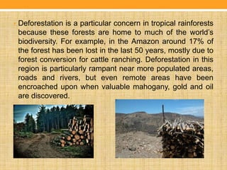 • Deforestation is a particular concern in tropical rainforests
because these forests are home to much of the world’s
biodiversity. For example, in the Amazon around 17% of
the forest has been lost in the last 50 years, mostly due to
forest conversion for cattle ranching. Deforestation in this
region is particularly rampant near more populated areas,
roads and rivers, but even remote areas have been
encroached upon when valuable mahogany, gold and oil
are discovered.
 