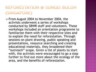  From August 2004 to November 2004, the
activists underwent a series of workshops
conducted by SBWR staff and volunteers. These
workshops included an orientation programme to
familiarize them with their respective sites and
to explain the need for reforestation. Through
sessions on plant drawing, public speaking and
presentations, resource searching and creating
educational materials, they broadened their
“outreach” scope. Given a list of plants to start
with, the activists were encouraged to go a step
further to find out more about the ecology of the
area, and the benefits of reforestation.
 