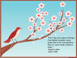 “For in the true nature of things,
if we rightly consider, every
green tree is far more glorious
than if it were made of gold or
silver.”
-Martin Luther
1483~1546
 