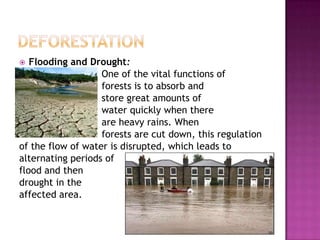  Flooding and Drought:
One of the vital functions of
forests is to absorb and
store great amounts of
water quickly when there
are heavy rains. When
forests are cut down, this regulation
of the flow of water is disrupted, which leads to
alternating periods of
flood and then
drought in the
affected area.
 