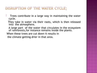  Trees contribute in a large way in maintaining the water
cycle.
They take in water via their roots, which is then released
into the atmosphere.
A large part of the water that circulates in the ecosystem
of rainforests,for instance remains inside the plants.
When these trees are cut down it results in
the climate getting drier in that area.
 