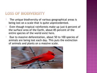  The unique biodiversity of various geographical areas is
being lost on a scale that is quite unprecedented.
 Even though tropical rainforests make up just 6 percent of
the surface area of the Earth, about 85 percent of the
entire species of the world exist here.
 Due to massive deforestation, about 50 to 100 species of
animals are being lost each day. This puts the extinction
of animals and plants on a massive scale.
 