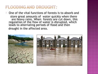  One of the vital functions of forests is to absorb and
store great amounts of water quickly when there
are heavy rains. When forests are cut down, this
regulation of the flow of water is disrupted, which
leads to alternating periods of flood and then
drought in the affected area.
 
