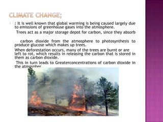  : It is well known that global warming is being caused largely due
to emissions of greenhouse gases into the atmosphere.
Trees act as a major storage depot for carbon, since they absorb
carbon dioxide from the atmosphere to photosynthesis to
produce glucose which makes up trees.
When deforestation occurs, many of the trees are burnt or are
left to rot, which results in releasing the carbon that is stored in
them as carbon dioxide.
This in turn leads to Greaterconcentrations of carbon dioxide in
the atmospher.
 
