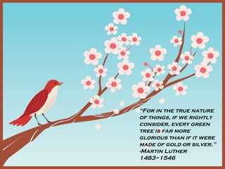 “For in the true nature
of things, if we rightly
consider, every green
tree is far more
glorious than if it were
made of gold or silver.”
-Martin Luther
1483~1546
 