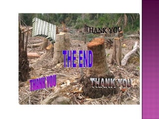 Deforestation & conservation efforts farrukh