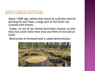  About 11000 ago, before Man learnt to cultivate land for
growing his own food, a large part of the Earth was
covered with forests.
 Today, six out of ten forests have been cleared, so that
they now cover little more than one-fifth of the land on
Earth.
 Destruction of forested land is called deforestation.
 