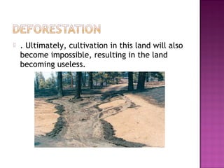  . Ultimately, cultivation in this land will also
become impossible, resulting in the land
becoming useless.
 