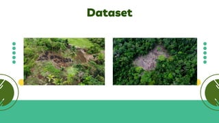 Deforestation detection, Using AI to detect deforestation | PDF