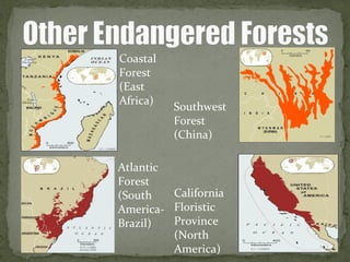 Coastal
Forest
(East
Africa)
Southwest
Forest
(China)
Atlantic
Forest
(South
America-
Brazil)
California
Floristic
Province
(North
America)
 