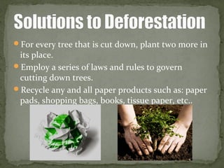 For every tree that is cut down, plant two more in
its place.
Employ a series of laws and rules to govern
cutting down trees.
Recycle any and all paper products such as: paper
pads, shopping bags, books, tissue paper, etc..
 