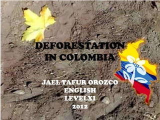 DEFORESTATION
 IN COLOMBIA

JAEL TAFUR OROZCO
      ENGLISH
      LEVELXI
        2012
 