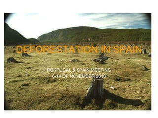 DEFORESTATION IN SPAIN PORTUGAL & SPAIN MEETING 6-14 OF NOVEMBER 2010 