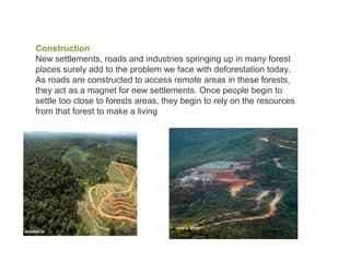 Deforestation | PPT