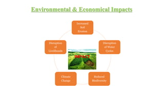 What is Deforestation? | PPTX