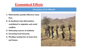 What is Deforestation? | PPTX