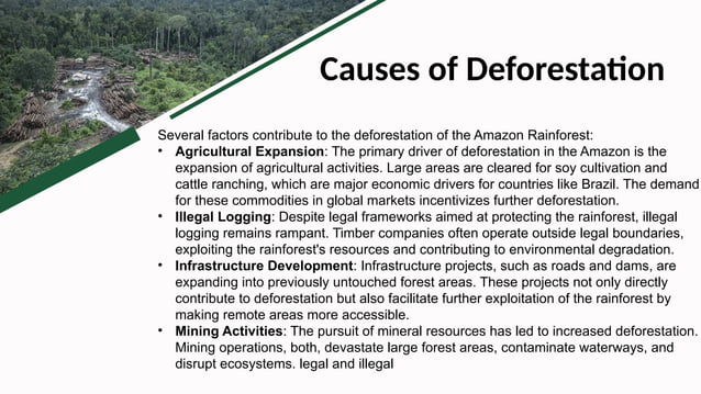 Deforestation of the Amazon Rainforest-Global Headwinds | PPT