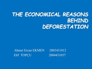 THE ECONOMICAL REASONS
BEHIND
DEFORESTATION
Ahmet Ercan EKMEN 2003431012
Elif TOPÇU 2004431037
 