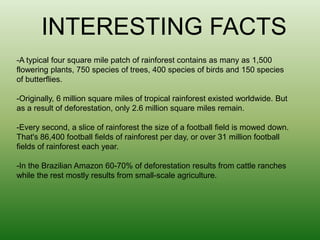 INTERESTING FACTS-A typical four square mile patch of rainforest contains as many as 1,500 flowering plants, 750 species of trees, 400 species of birds and 150 species of butterflies.-Originally, 6 million square miles of tropical rainforest existed worldwide. But as a result of deforestation, only 2.6 million square miles remain.-Every second, a slice of rainforest the size of a football field is mowed down. That's 86,400 football fields of rainforest per day, or over 31 million football fields of rainforest each year.-In the Brazilian Amazon 60-70% of deforestation results from cattle ranches while the rest mostly results from small-scale agriculture.