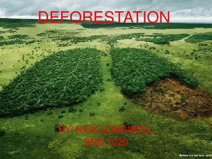 deforestation-power-point