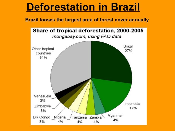 deforestation in brazil By lise alves, senior contributing reporter são paulo, brazil – deforestation in the brazilian amazon region declined by sixteen percent between august 2016 and july 2017, according to the national institute of space research (inpe), a brazilian government agency. deforestation in brazil By lise alves, senior contributing reporter são paulo, brazil – deforestation in the brazilian amazon region declined by sixteen percent between august 2016 and july 2017, according to the national institute of space research (inpe), a brazilian government agency.