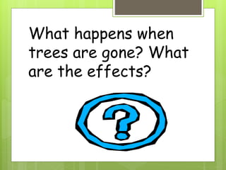 What happens when
trees are gone? What
are the effects?
 